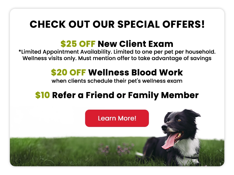 Special Offers! $25 off New Client Exam! $20 off wellness blood work! $10 Refer a friend or family member