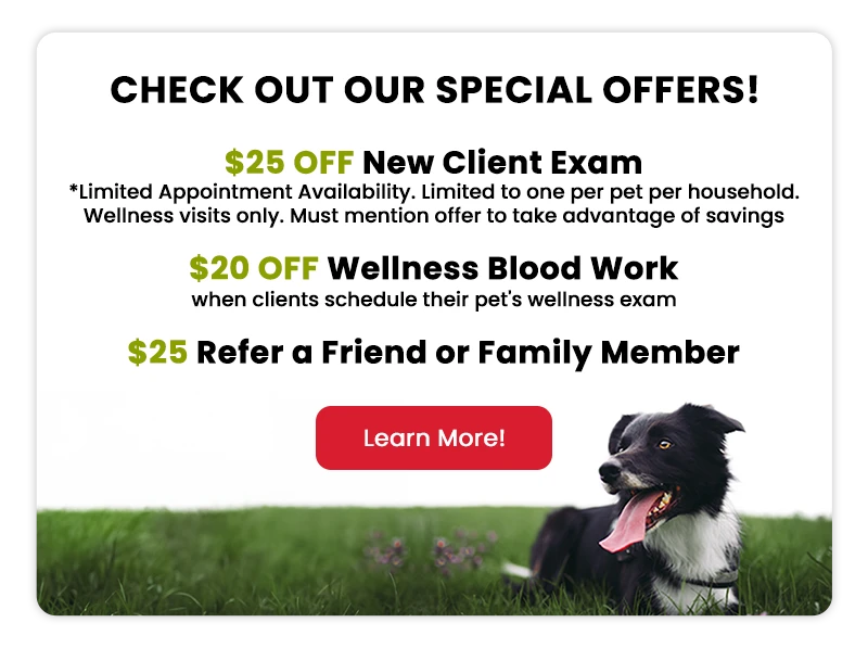 Special Offers! $25 off New Client Exam! $20 off wellness blood work! $25 Refer a friend or family member