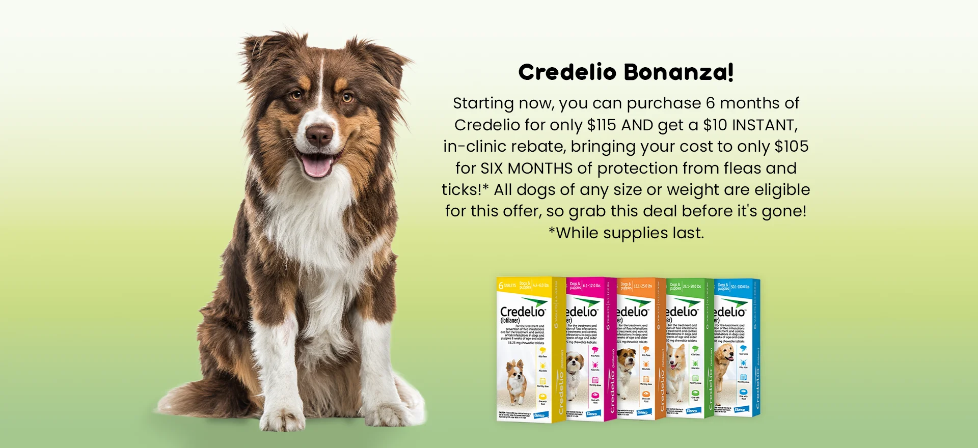 Starting now, you can purchase 6 months of Credelio for only $115 AND get a $10 INSTANT, in-clinic rebate, bringing your cost to only $105 for SIX MONTHS of protection from fleas and ticks!